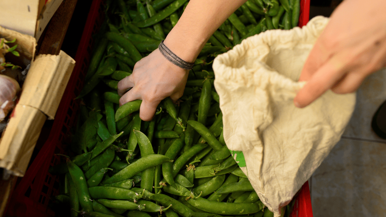 5 Creative Ways to Reuse Your Grocery Bags » Sensational Organizing