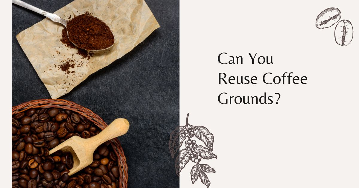 Can You Reuse Coffee Grounds? - Coffee Snobs World