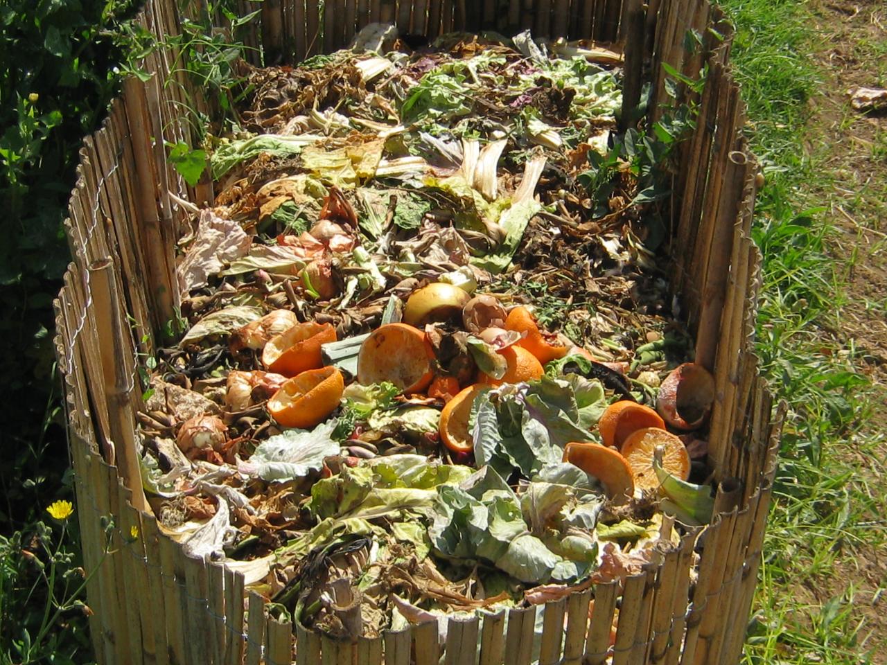How to start composting