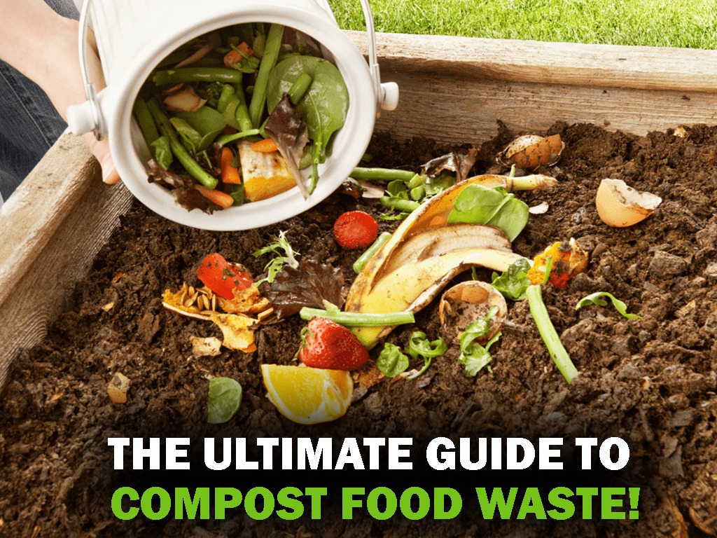 How to compost coffee grounds