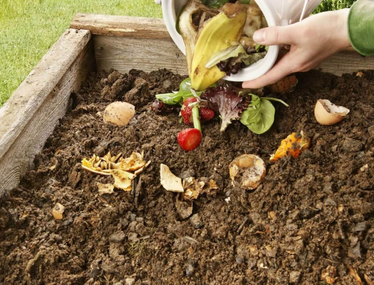 How to Compost: Best Methods Compared - A Piece Of Rainbow