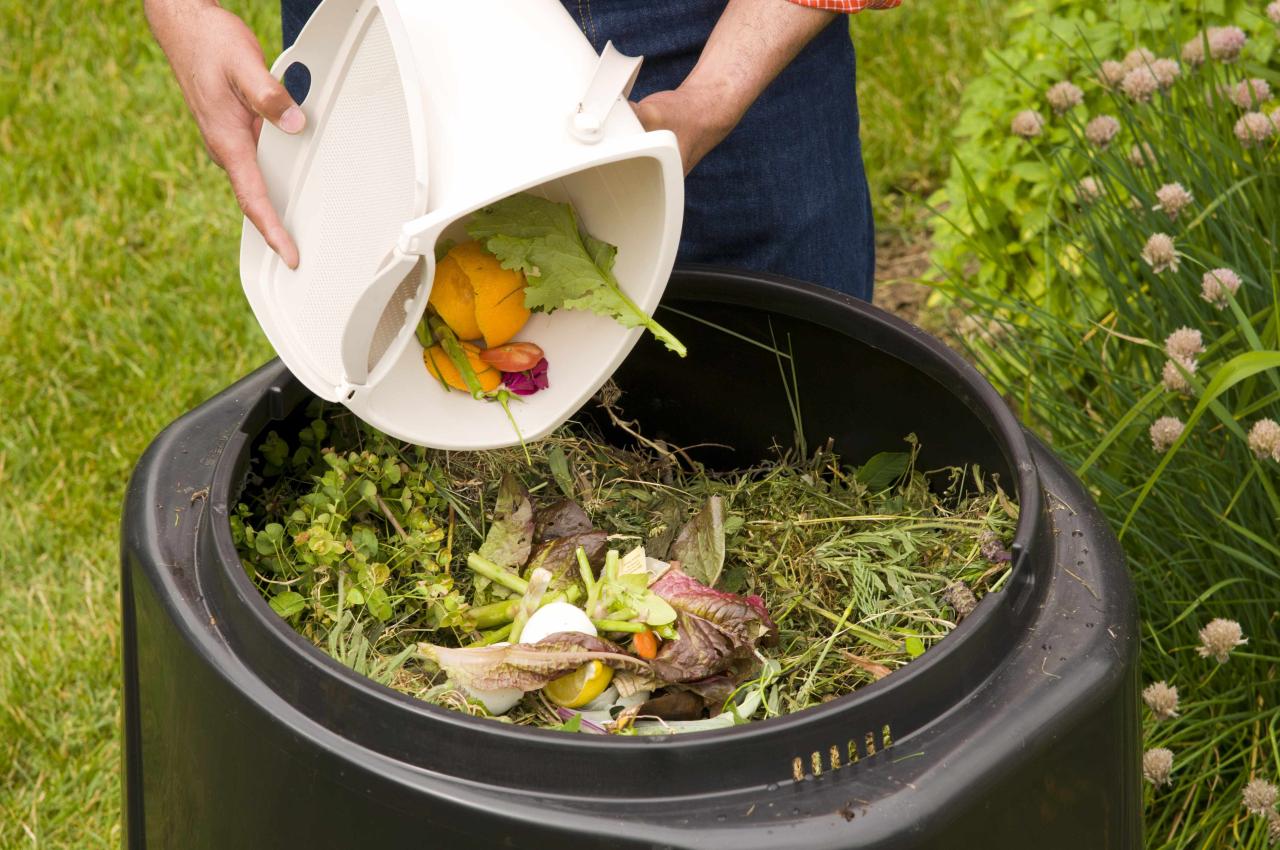 Reduce Your Household Waste with Our Guide to Composting | Platt Hill ...