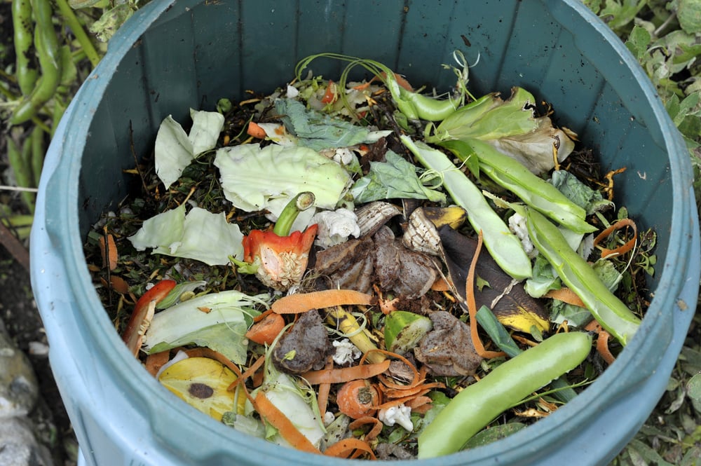 Should you compost weeds? Here's what the experts say | Tom's Guide