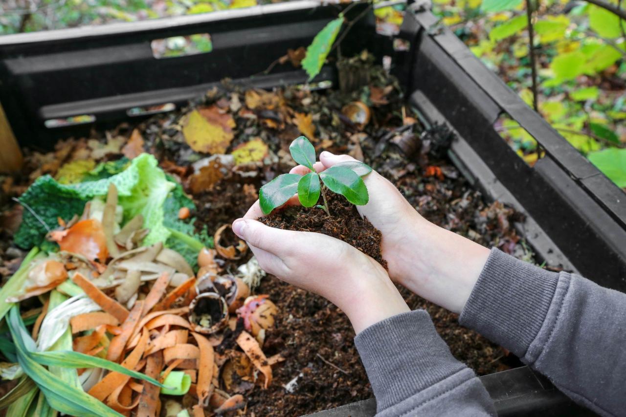 Composting Definition