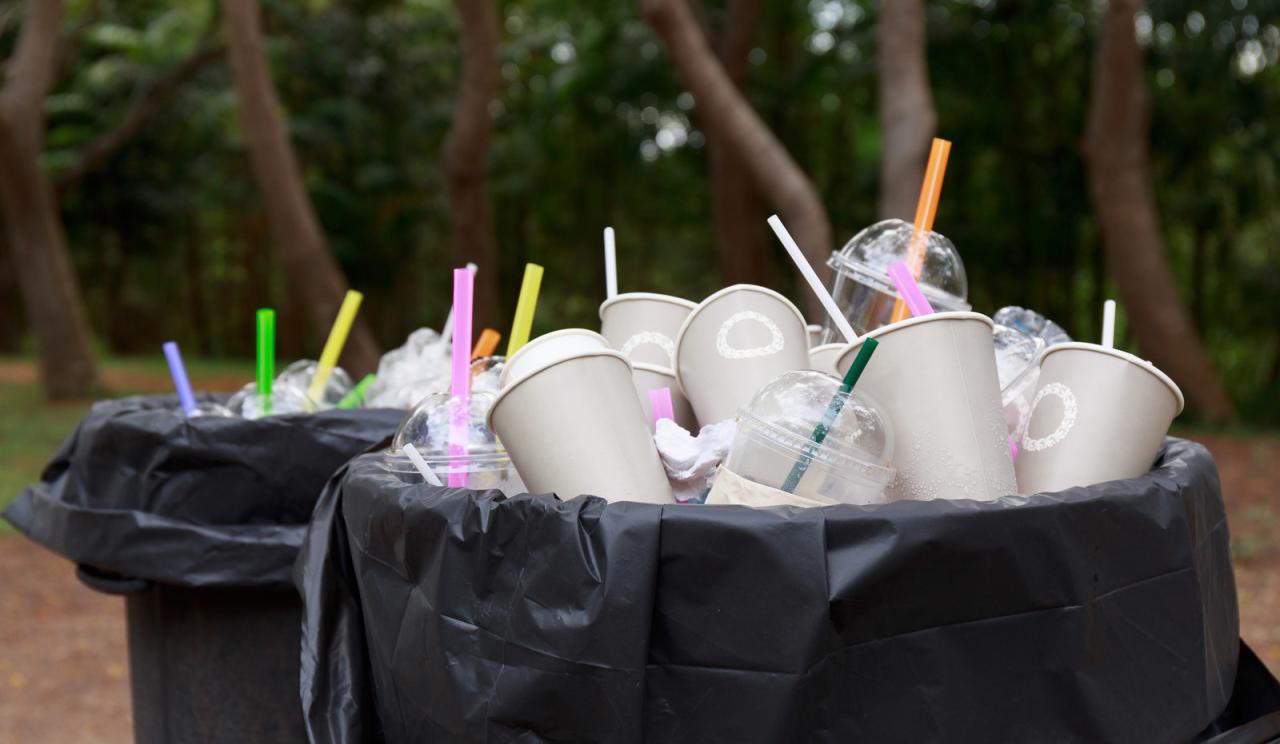 15 Ideas of How to Recycle Plastic Straws